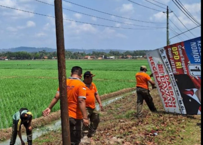 Penertiban Baliho dan Banner di Wilayah Kecamatan Maos, Cilacap, 68 Banner Ditertibkan 