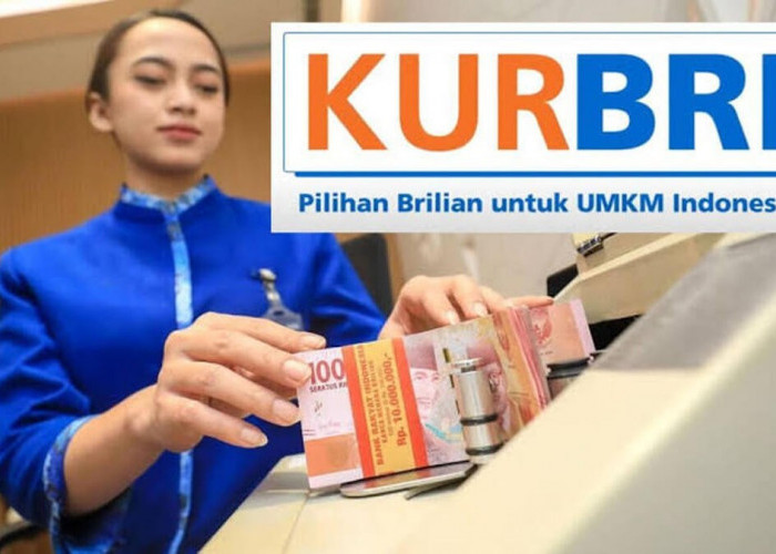 Pengajuan KUR BRI Ditolak? Ketahui Alasannya Sekarang Juga!
