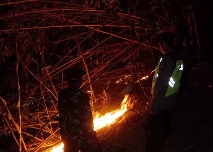 Api Hanguskan 1,5 Hektare Rumpun Bambu di Rawalo, Empat Pemilik Lahan Menunggu Penyebab Pasti