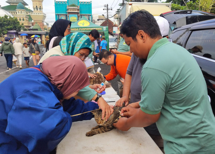 Cegah Penyakit Hewan Menular, Puskeswan Purbalingga Buka Layanan Pemeriksaan dan Vaksinasi di CFD