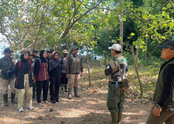 Dua Elang Dilindungi Dilepasliarkan di Nusakambangan
