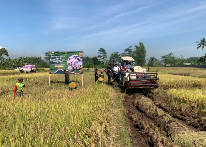 Stok Beras Aman Hingga Akhir Tahun, Pemkab Klaim Produksi Suprlus 16.761 Ton