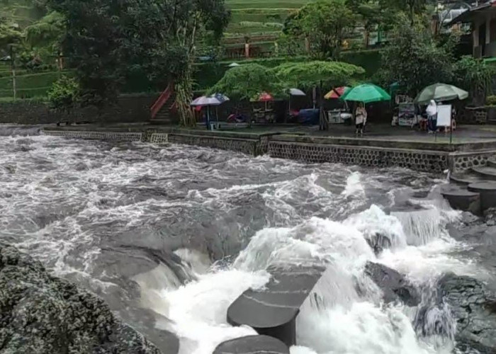 Viral di Medsos Detik-Detik Sungai Gumawang Lokawisata Baturraden Meluap, Dinporabudpar :  Tidak Berdampak