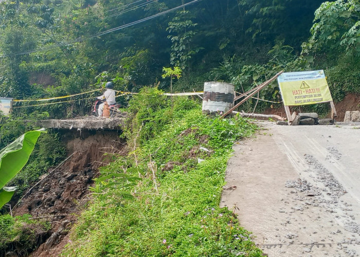 Talud Jalan di Desa Gondang Longsor, Ruas Karangreja-Karangjambu Terancam Amblas