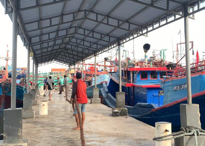 Berisiko Tinggi, dari 33 Ribu Nelayan di Cilacap, Belum Ada Setengahnya Ikut Asuransi