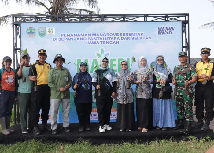 Pulihkan Ekosistem, DLHKP Tanam 36 Ribu Batang Mangrove  Di Pesisir Selatan Kebumen