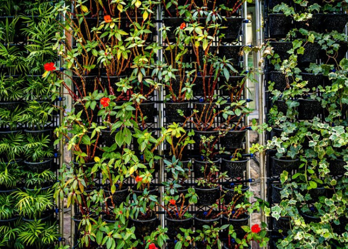 Mengenal Lebih Dekat Vertical Garden, Si Taman Modern yang Kekinian