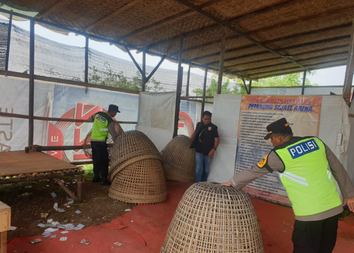 Polres Purbalingga Gerebek Arena Sabung Ayam di Bukateja, Pelaku Tak Ditemukan