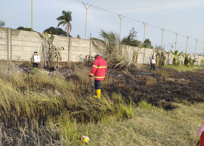 Lahan Kosong Milik PT KAI Kelurahan Tambakreja, Cilacap Terbakar, Diduga karena Ada yang Bakar Ayam di Lokasi