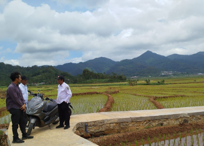 Jalan Usaha Tani di Gununglangit Ubah Wajah Pertanian Banjarnegara, Petani Kini Tak Lagi Pikul Hasil Panen