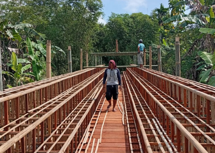 Ketahanan Pangan, Penyedia Jasa Pembuatan Kandang Ayam Kecipratan Rezeki