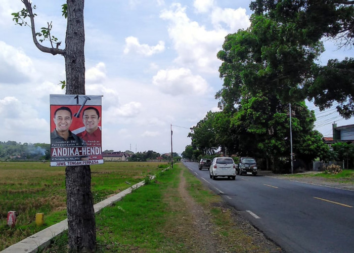 Marak APK Dipaku di Pohon di Wilayah Timur Banyumas