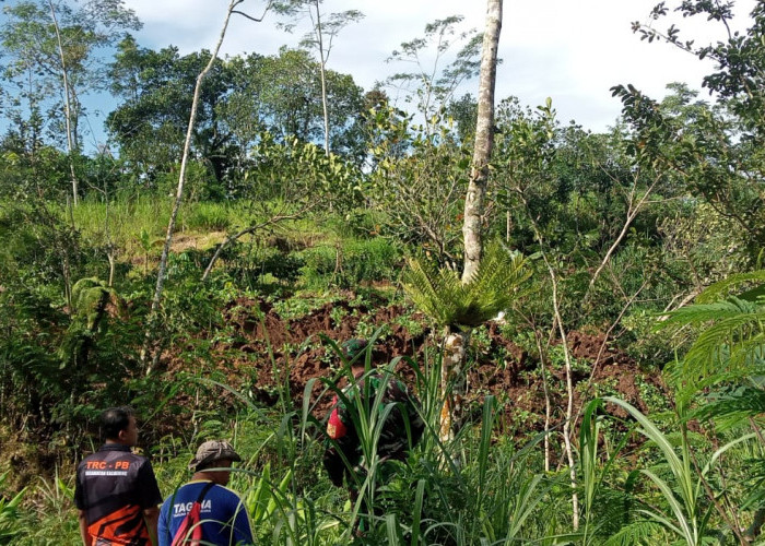 Sembilan Rumah Terancam Longsor Akibat Retakan Tanah Capai 60 Meter