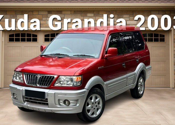Mobil MPV Tangguh Harga di Bawah 100 Juta, Mitsubishi Kuda Grandia Diesel 2003