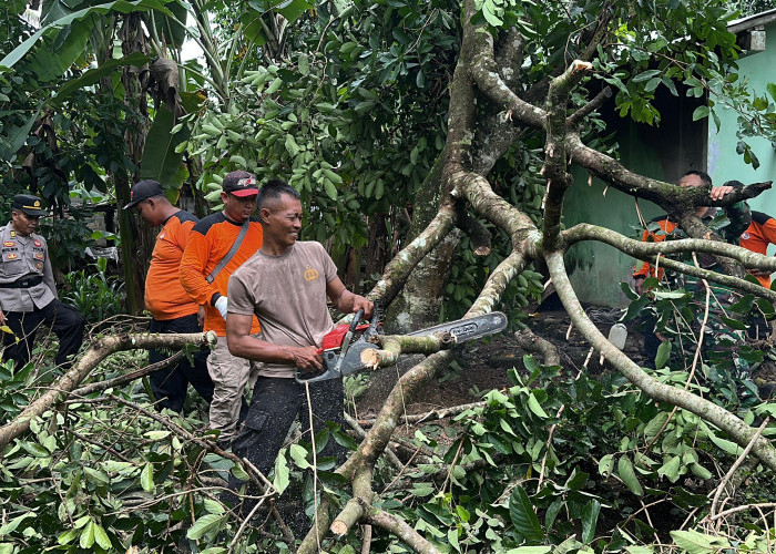 Jumlah Rumah Rusak Akibat Angin Kencang di Kemangkon Bertambah