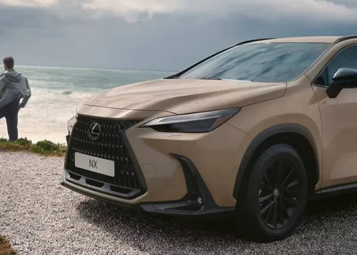 Mobil Sejuta Pesona! Lexus NX Bukan Cuma Ganteng, Tapi Juga Super Cerdas dan Hemat BBM