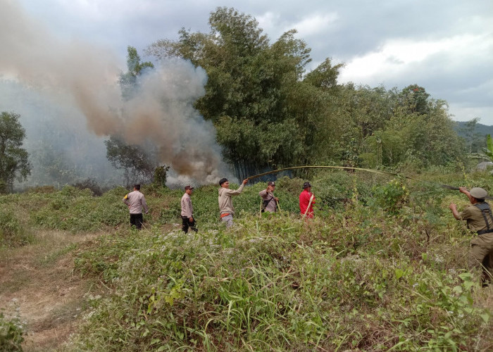 Dampak Kemarau, Lahan Kosong di Desa Windunegara Wangon Terbakar