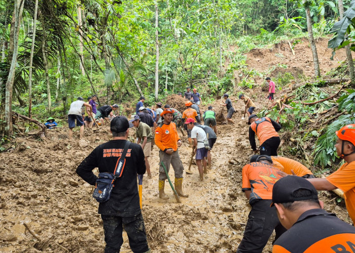 Jalan Putus Total, Alat Berat Bakal Diturunkan untuk Bersihkan Material Longsor di Desa Kaliori