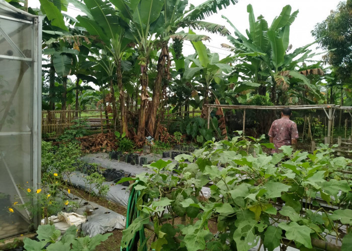 Tembok Keliling Ambruk Kelurahan Bantarsoka Belum Ditangani Permanen