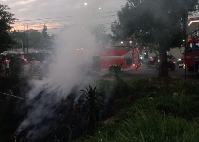 Damkar Banyumas Catat 7 Kebakaran Lahan di Purwokerto Dalam 2 Pekan