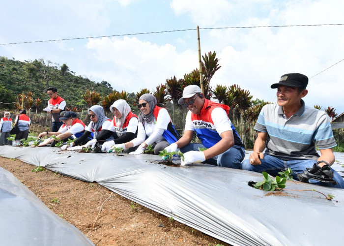 Lewat Tanggung Jawab Sosial Lingkungan, Pertamina Edukasi Keberlanjutan Energi