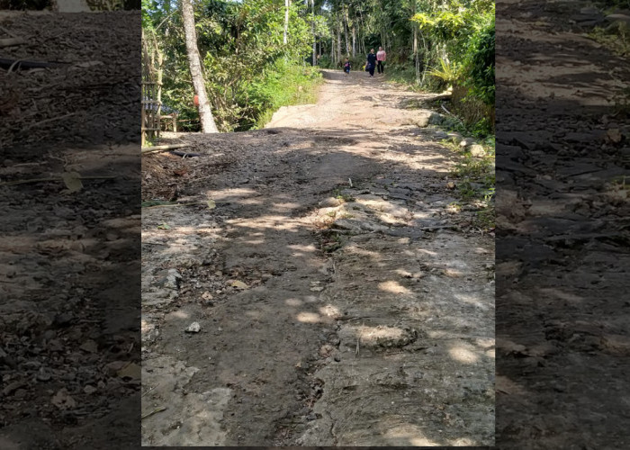 Jalan Grumbul Gualangu Desa Sawangan Ajibarang Rusak Parah