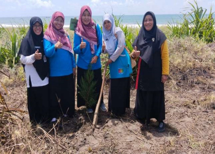 1500 Pohon Mangrove Hijaukan Pantai Ambal