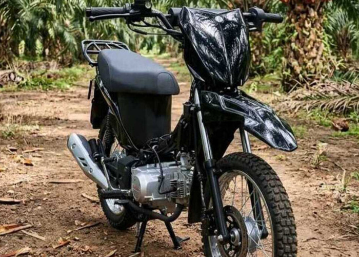 Motor Rp13 Jutaan Ini Bisa Bawa 200 Kg, Viar R2K Cocok untuk Petani