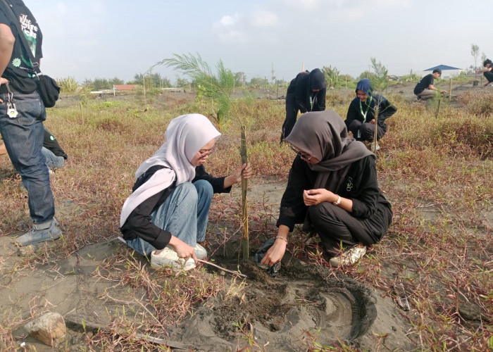 Peringati Hari Lingkungan Hidup, Cilacap Tanam 1.000 Pohon Cemara Laut dan 5.000 Bibit Mangrove 