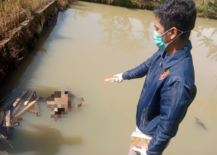 Warga Wanareja Cilacap Geger, Ditemukan Mayat Pria Mengapung di Kolam Ikan 