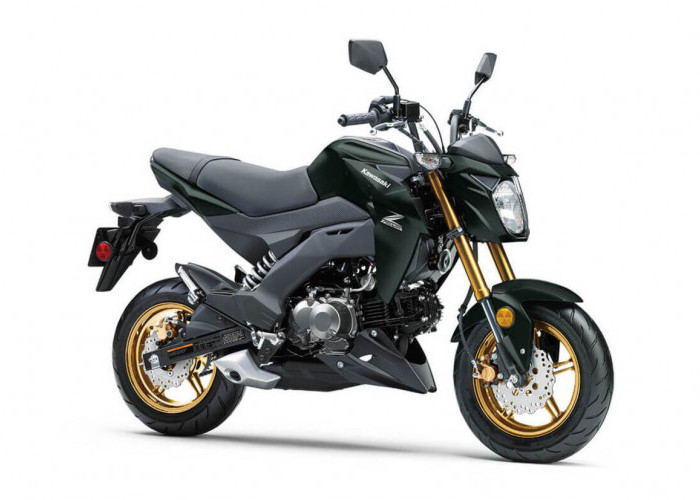 Mini Bike Tapi Berkelas! Kawasaki Z125 PRO SE Punya Suspensi Upside Down
