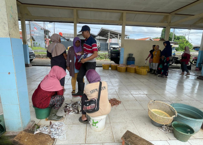 Musim Angin Timur Bawa Berkah, KUD Mino Saroyo Cilacap Catat Transaksi Miliaran Rupiah