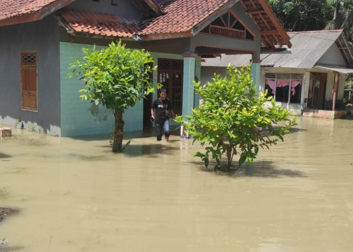 Dua Dusun di Wanareja Terendam Banjir Akibat Hujan dengan Intesitas Tinggi