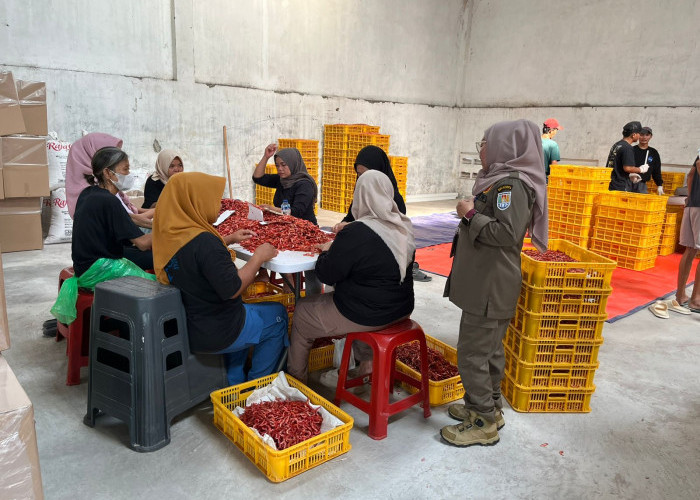 Warga Keluhkan Bau Menyengat, Tim Gabungan Periksa Industri Pengeringan Udang di Donan Cilacap