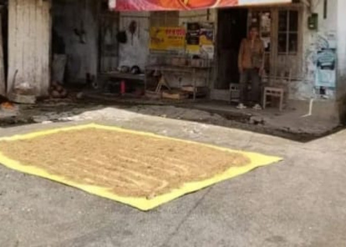 Penggilingan Padi Pasok Beras ke MBG Wajib Kantongi NIB