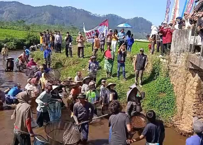 Warga Kalibening Gelar Gubyah Kemerdekaan, Satu Kwintal Lele Disebar di Sungai Brukah Banjarnegara