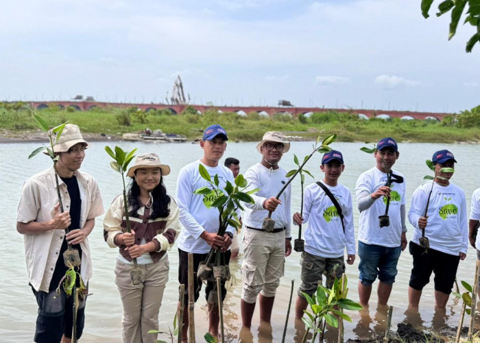 Astra Motor Yogyakarta Libatkan Generasi Muda untuk Tanam Mangrove di Pantai Pandansimo
