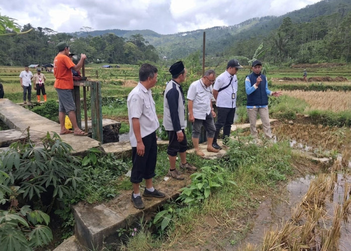 Dukung Ketahanan Pangan, Tiga Desa di Purbalingga Diverifikasi Program Mina Padi 2026