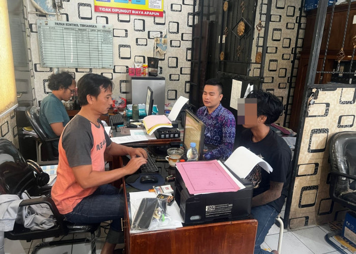 Diduga Ada Peredaran Ganja di Sidareja Cilacap,Dua Pelaku Diamankan