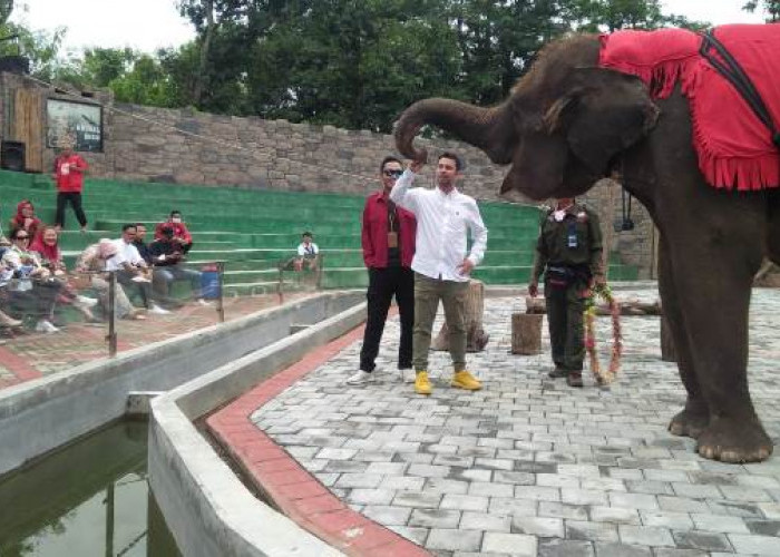 Serunya Berwisata ke Semarang Zoo, Petualangan Tak Terlupakan