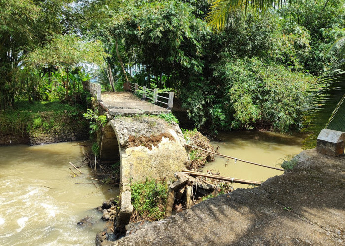 Sudah Setahun Putus, Jembatan Sungai Ranu Desa Cilapar Belum Diperbaiki