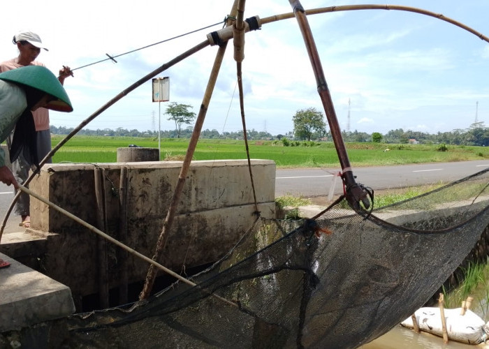 Setrum Ikan Masih Marak di Tambak Banyumas, Warga Karangpetir Resah