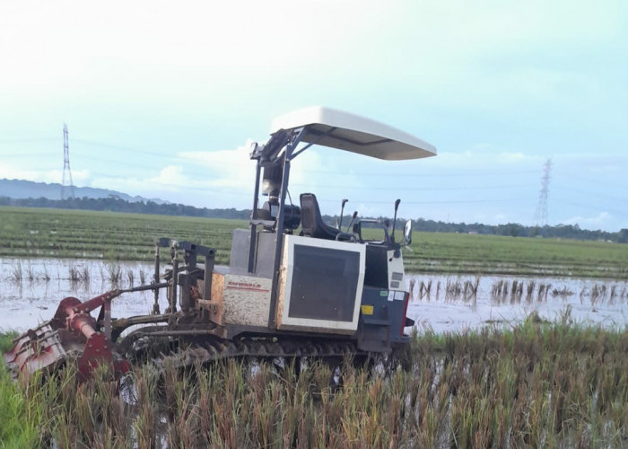 Pengolahan Lahan Ganakan Traktor Rotavator Efektif, Meski Boros Solar 