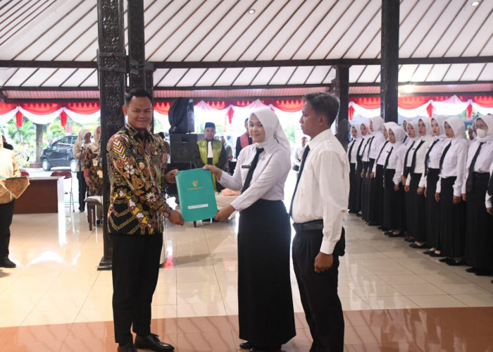 353 PPPK Dilantik, Guru Dominasi Formasi