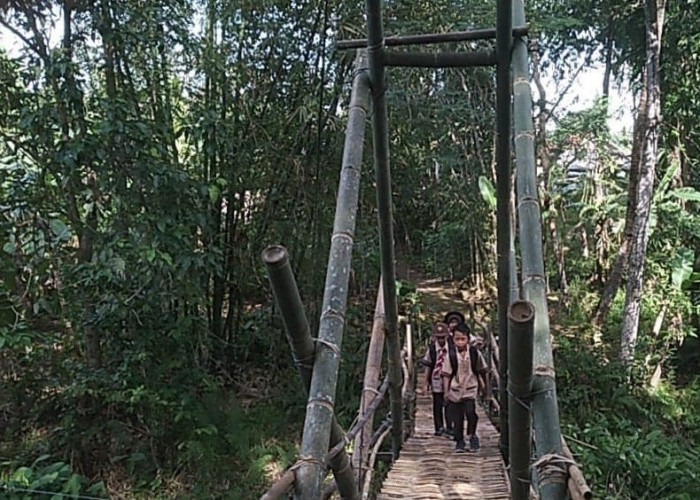 Sasak Bambu di Selanegara Banyumas Menanti Diganti, Warga Klaim Syarat Tuntas, Proyek Diminta Segera Jalan