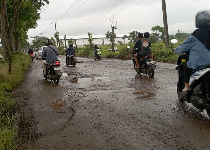 Tahun Anggaran 2025 Hanya Sisa 4 Bulan, Pemkab Optimis Program Alus Dalane Tuntas