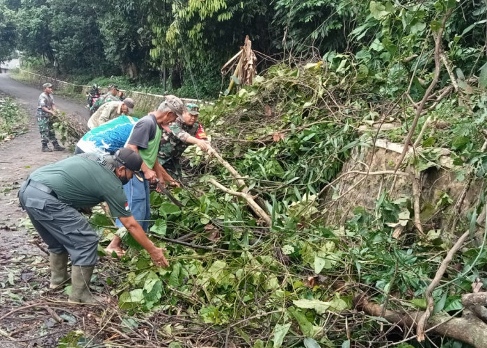22 Rumah di Cilacap Rusak Diterjang Hujan Deras dan Angin Kencang