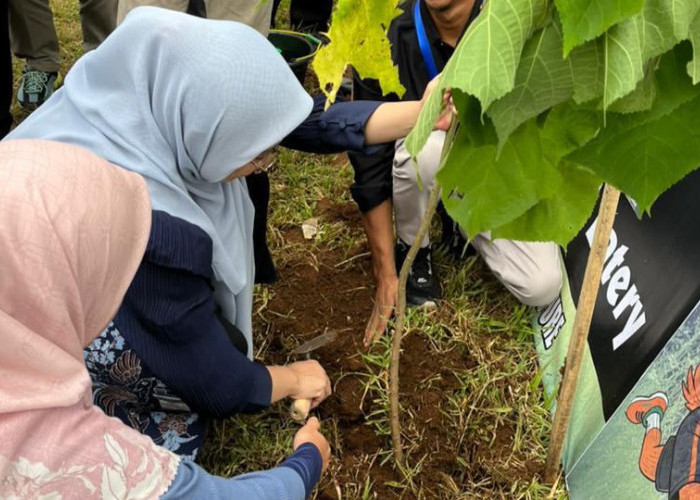 DPKPLH Banjarnegara Siapkan 3.000 Bibit, Lereng Rawan Longsor Jadi Prioritas Penghijauan