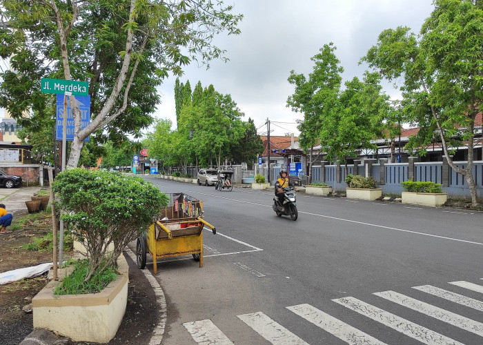 Aset RTH di Jalan Merdeka Purwokerto Akan Dibuat Database 