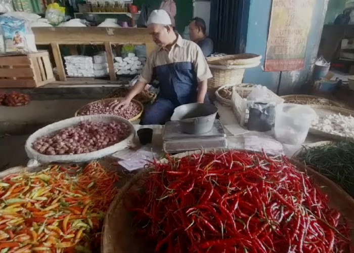 Harga Cabai Meroket, Warga Beralih ke Cabai Sambelan yang Lebih Murah